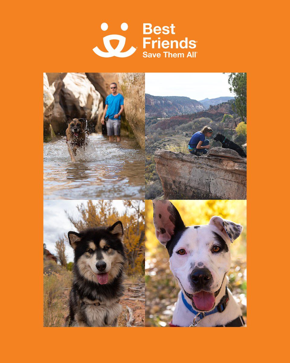 Best Friends Animal Society