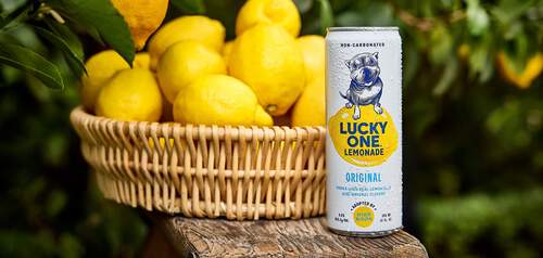 Lucky One Lemonade | Our Vodka Lemonade Flavors