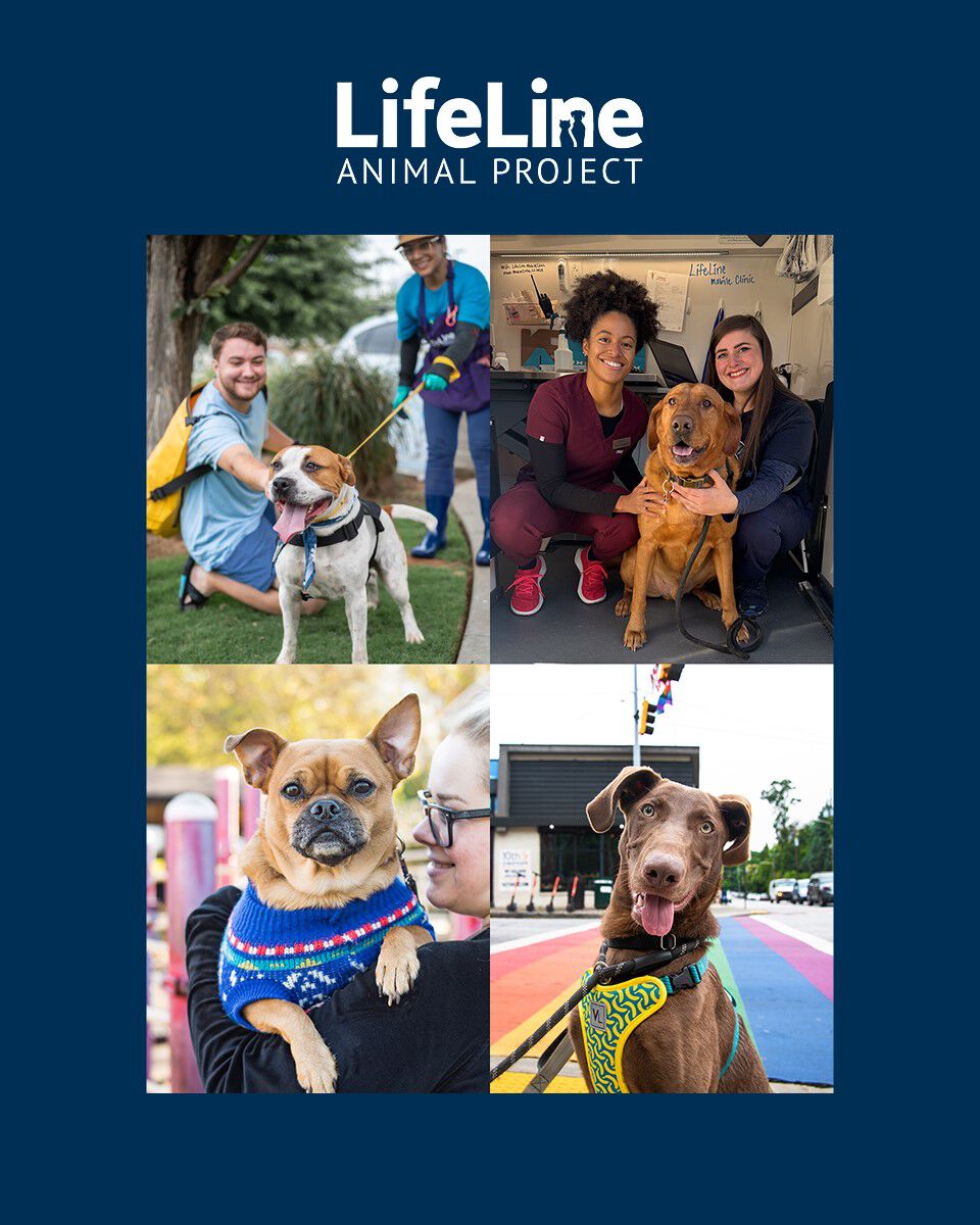 Lifeline Animal Project