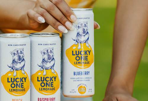 Lucky One Lemonade | Our Vodka Lemonade Flavors