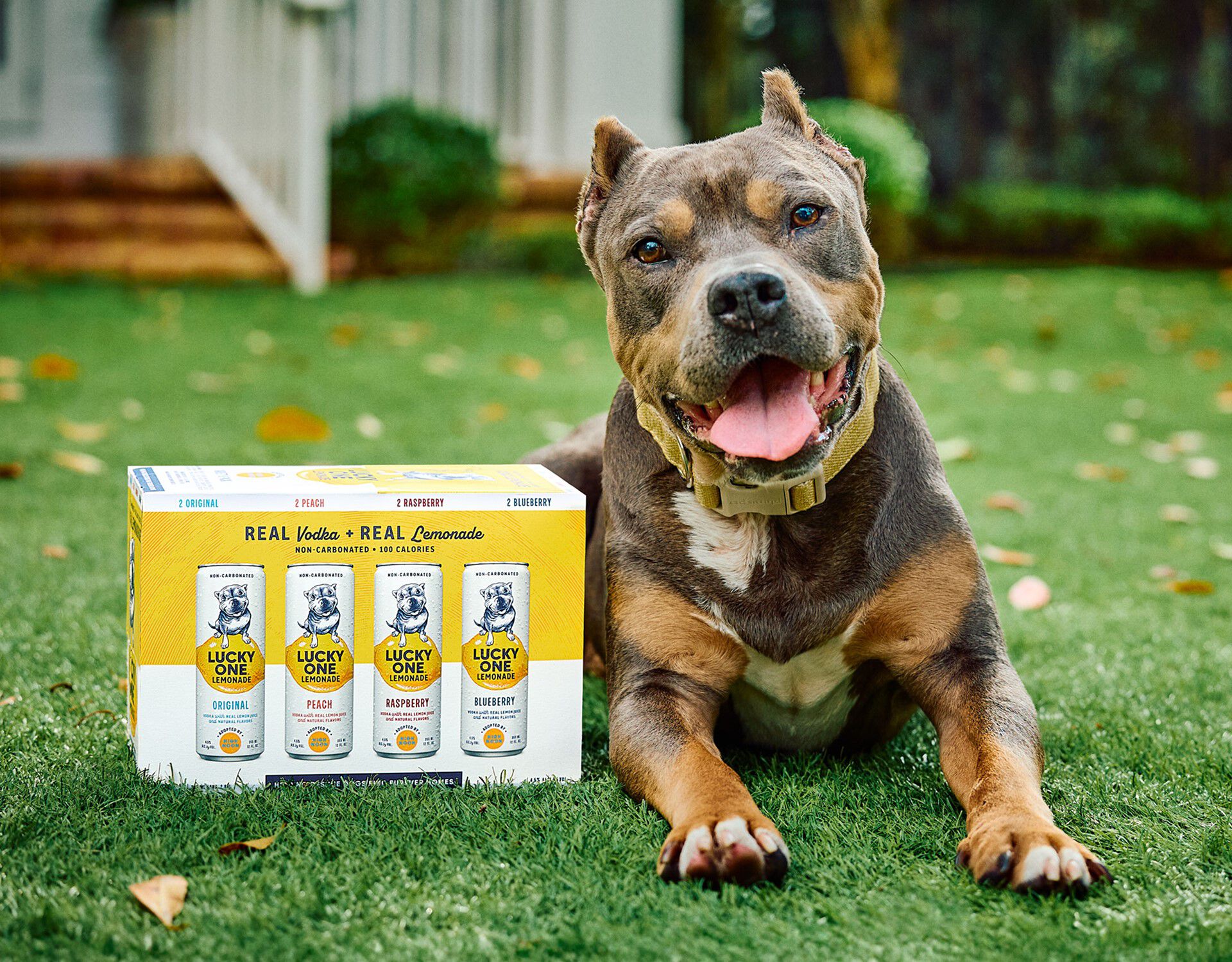 Peaches the dog and a case of Lucky One Lemonade